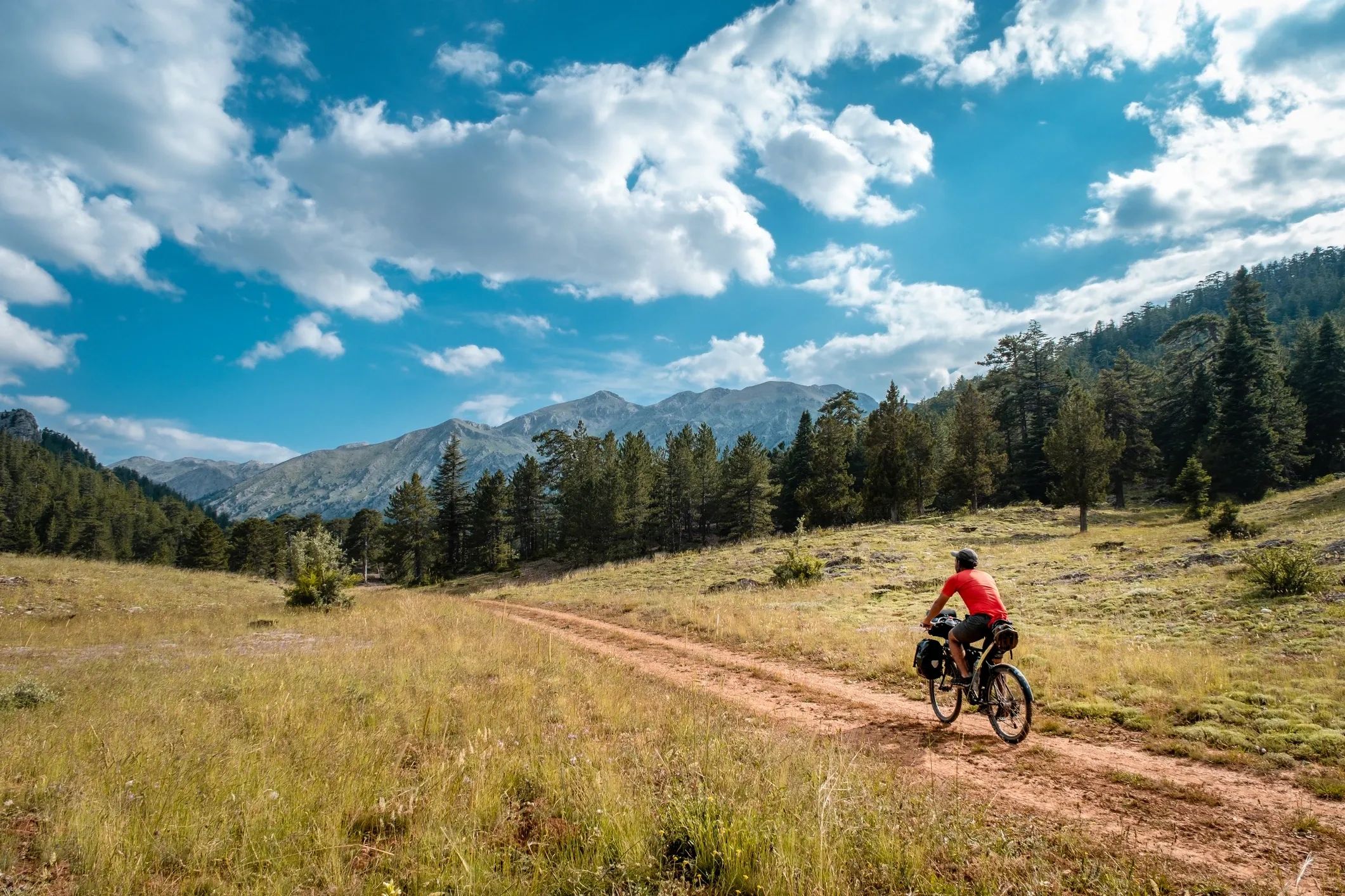 Backroads Strategies Economic & Community Development