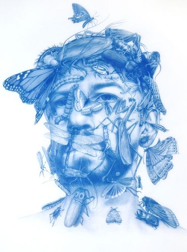 Swarm No. 1, blue pencil on mylar, 9 x 12 inches, 2013.