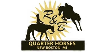 R&B Quarter Horses
39655 Willow Rd
New Boston, MI 48164