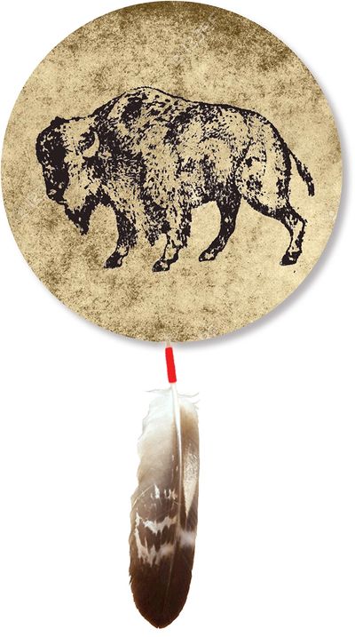 Decorative dreamcatcher with bison and feather.
