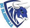 Youth Sports Organization (DC)