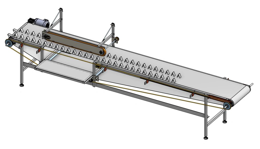 elastic conveyor for flower bunching line