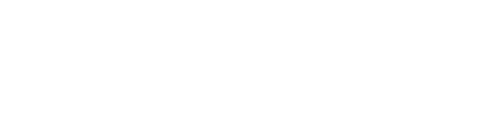 Sybionix LTD

