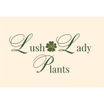 Lush Lady Plants