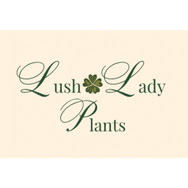 Lush Lady Plants
