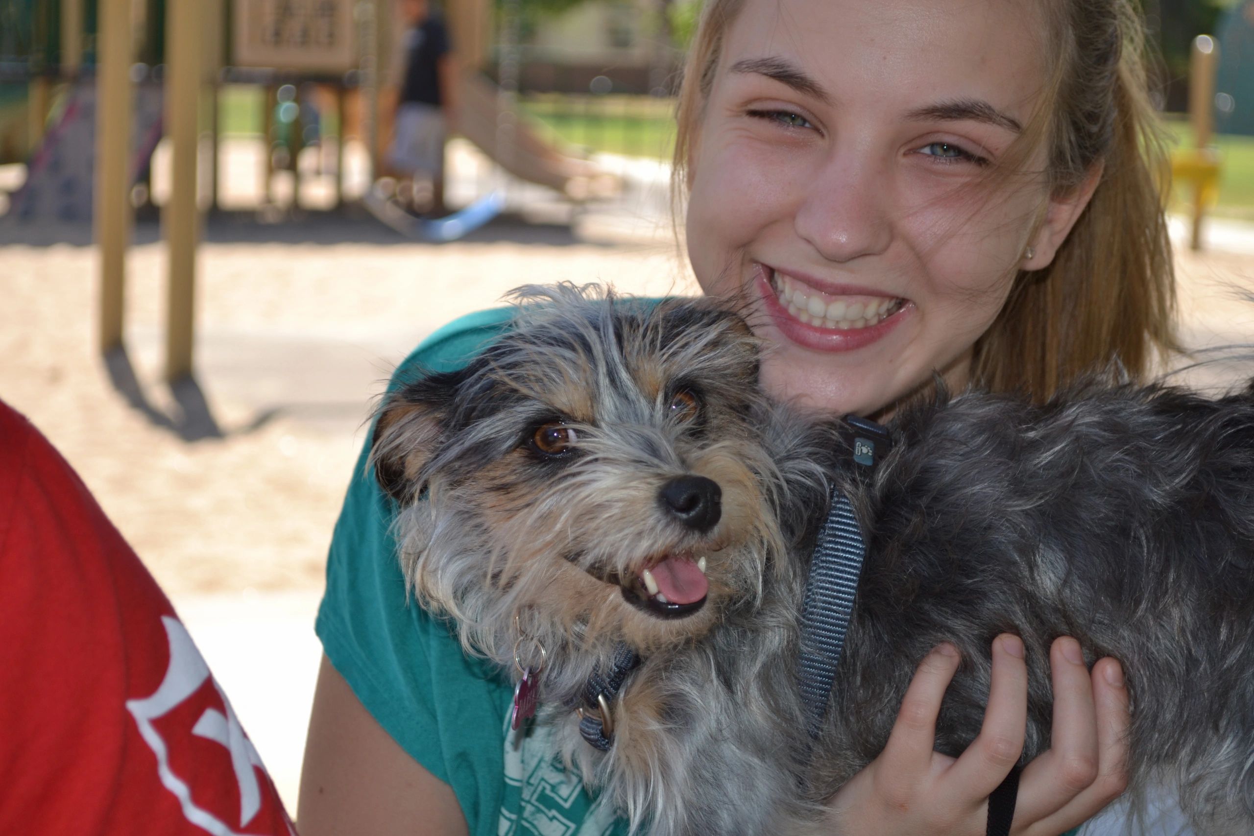 Gentle Care for Your Pet Healing Wise Holistic Veterinary Care