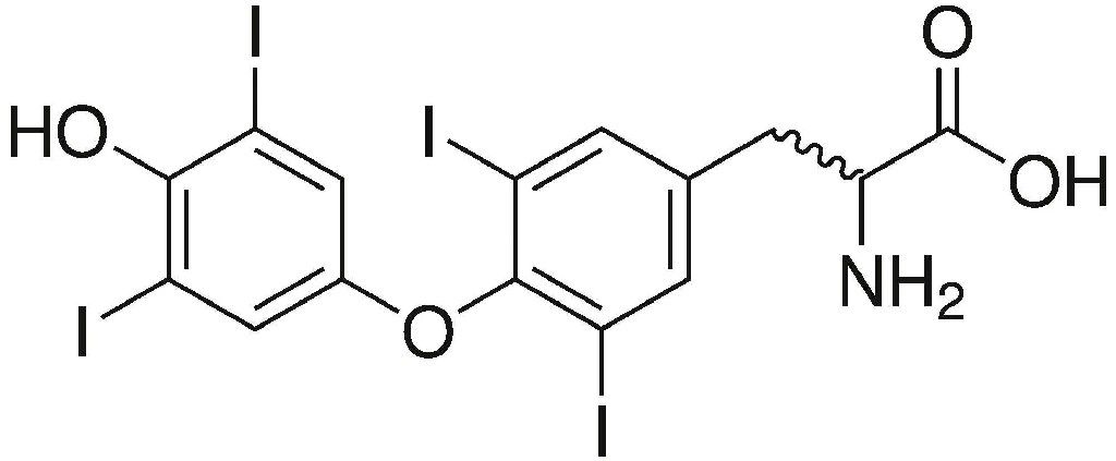 thyroxine,synthroid,natural, thyroid,rlc lab,armour,forrest lab, osteoporosis