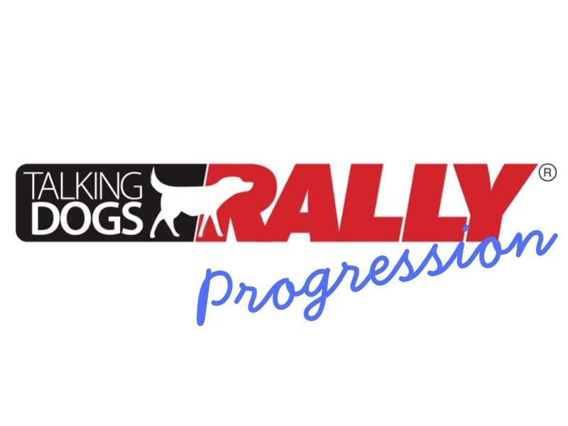 Rally Progression 6pm (FurryTails Training Centre)