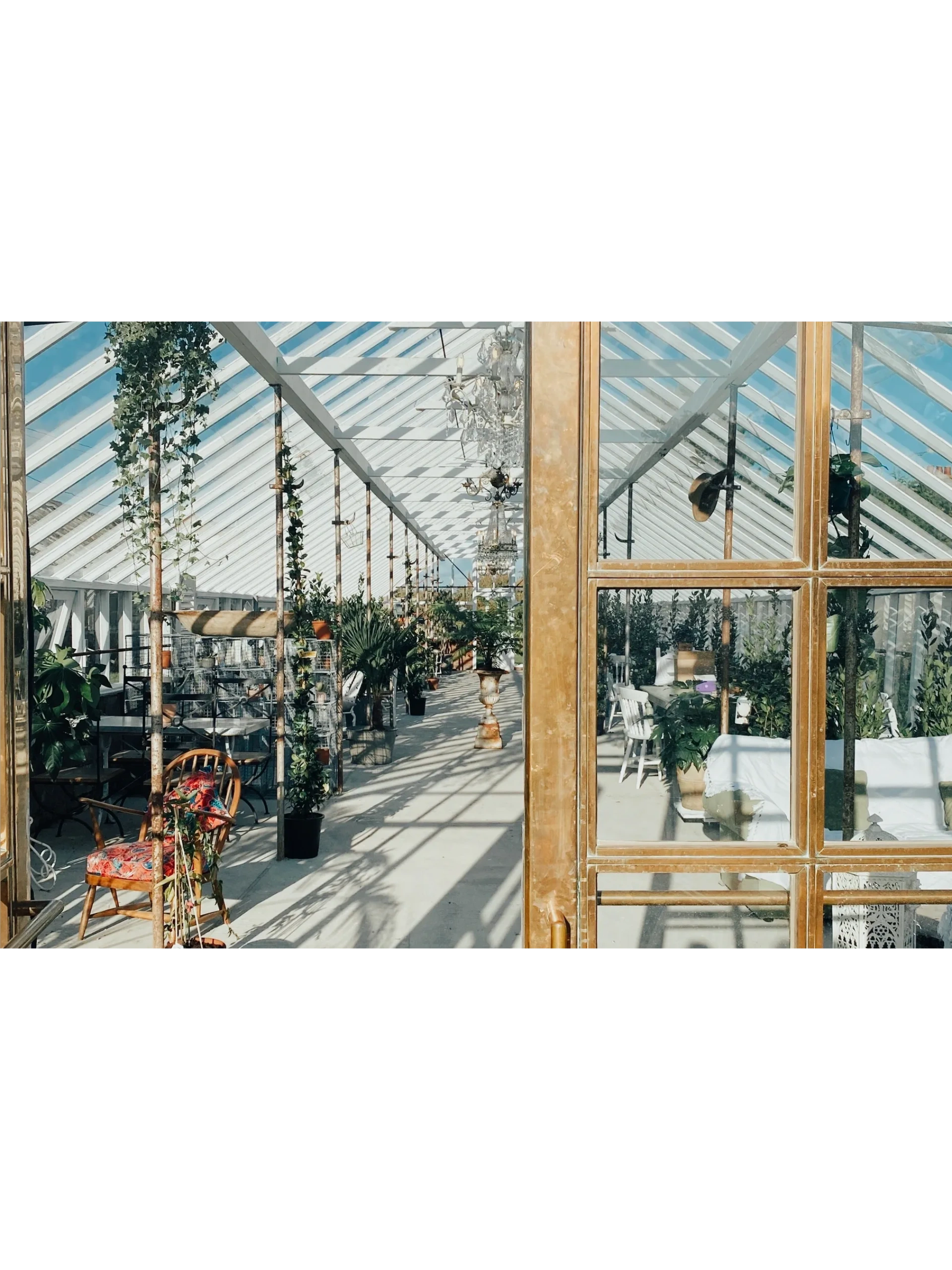 Spring Garden Nursery