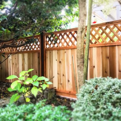 New wooden fence with lattice top in a garden setting.