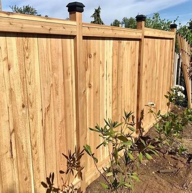 Newly installed wooden privacy fence with young plants growing nearby.