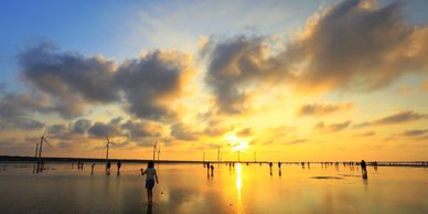 Corolla Cross高美濕地 台中租車自駕