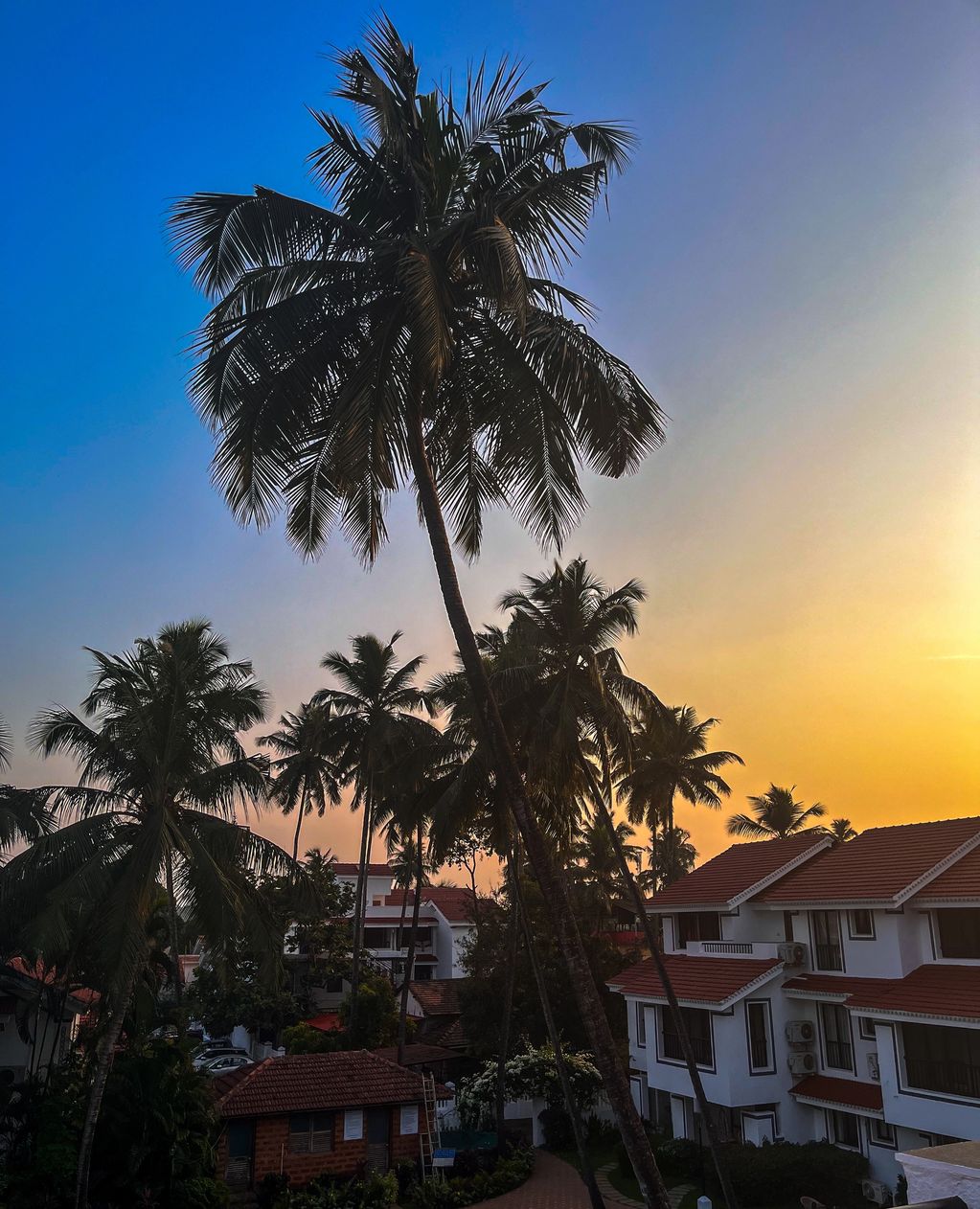 Riviera Sunset 