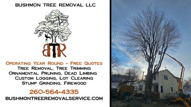 Bushmon Tree Removal Service