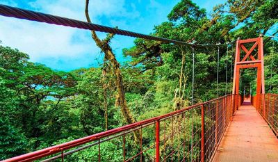 Monteverde a Costa Rica Vacation Paradise