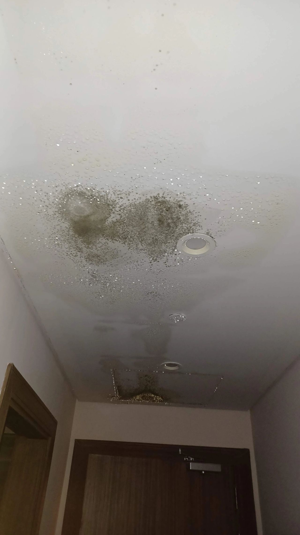 ceiling damages due to high humidity in Dubai ceiling damages due to high humidity in Dubai
