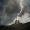 Lightning tree service 