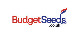 Budget Seeds