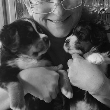 Two pups, Rocky and Apollo from our first litter