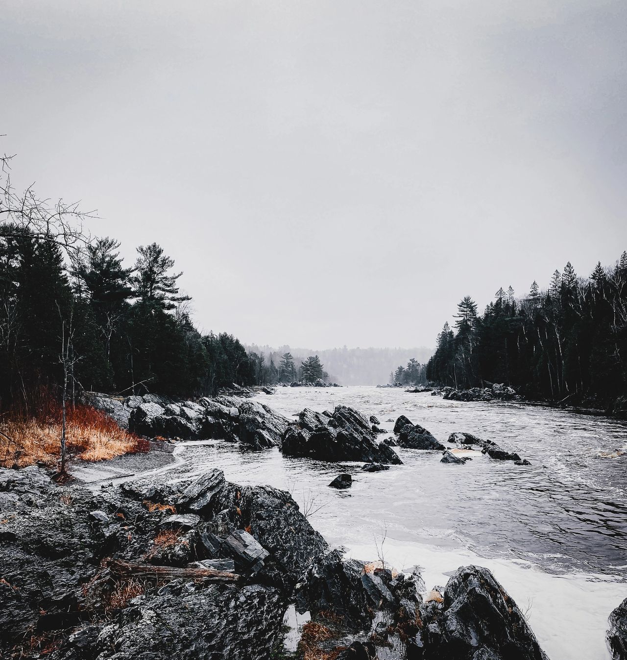 Jay Cooke State Park in winter Jay Cooke State Park in winter