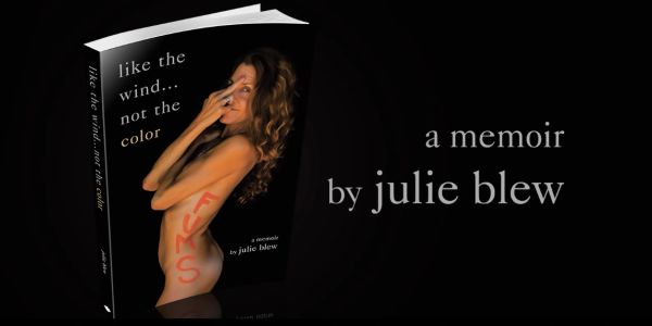 Book cover of 'like the wind... not the color' by Julie Blew.