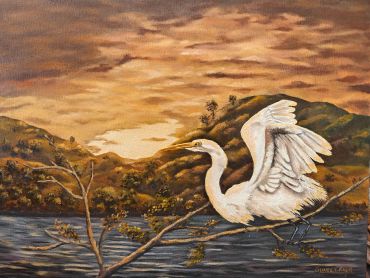 Silent Wings, Oil on Canvas, 18" x 24"