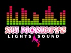 XII MONKEYS LIGHTS AND SOUND 