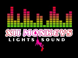 XII MONKEYS LIGHTS AND SOUND 