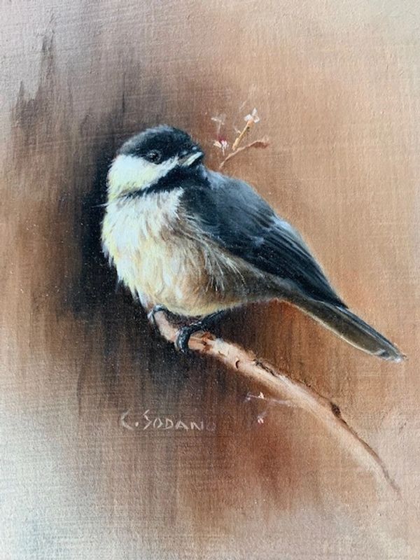 Chickadee. 8x10 Water based oils. Own Ref Photo