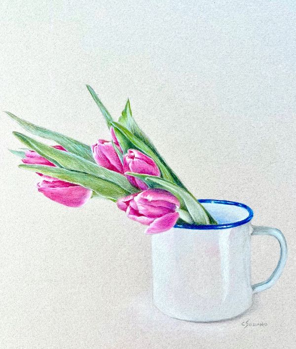 Pink Tulips in Cup