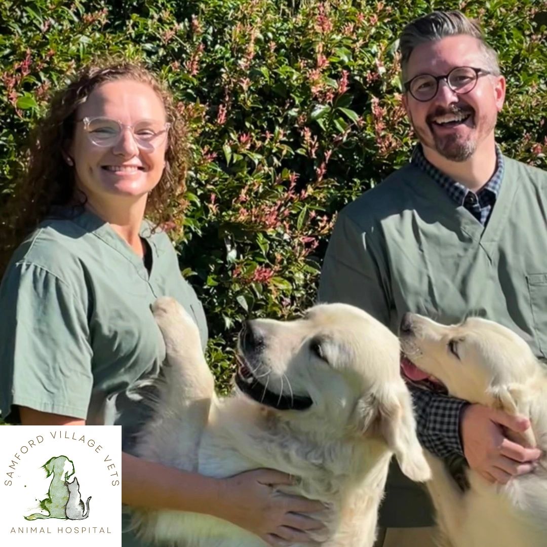 Samford Village Vets Animal Hospital Veterinary Care With Integrity