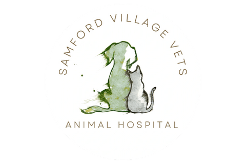 Samford Village Vets Animal Hospital