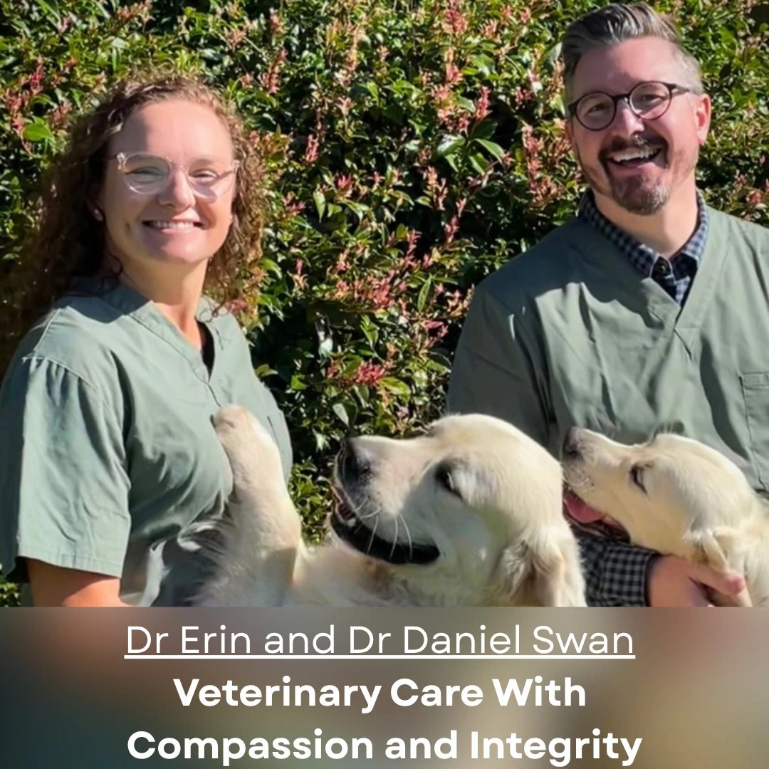 Samford Village Vets Animal Hospital storefront