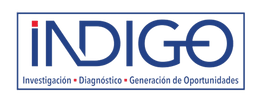 INDIGO CONSULTING