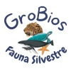 Grobios