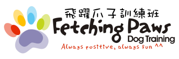 Fetching Paws Dog Training 