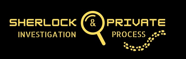 sherlockinvestigationsky