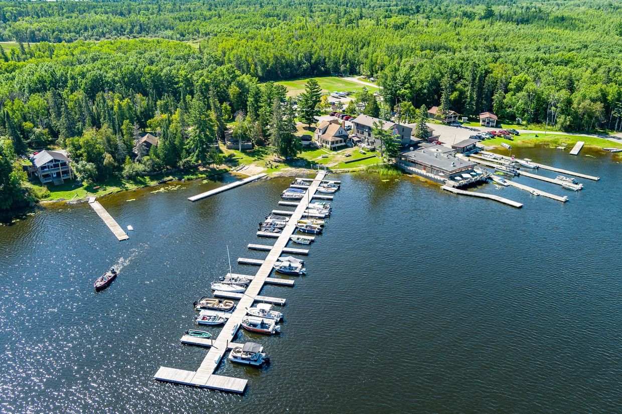 Aerial view of a marina with boats docked along piers surrounded by dense forest.
