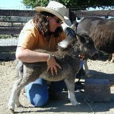 Canine and Equine Massage Therapy at Dogwood Kennels in Roseburg OR