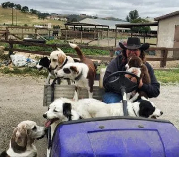 The herding crew at Dogwood Kennels in Roseburg Oregon