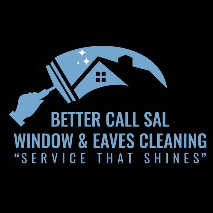 Better Call Sal window & eaves cleaning