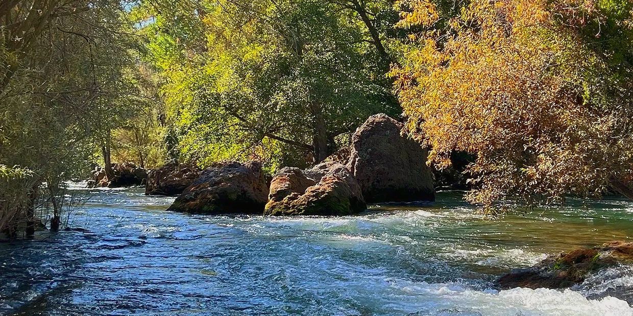Lower Stanislaus River Trout OPS