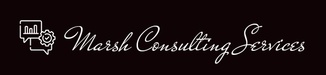 Marsh Consulting Services