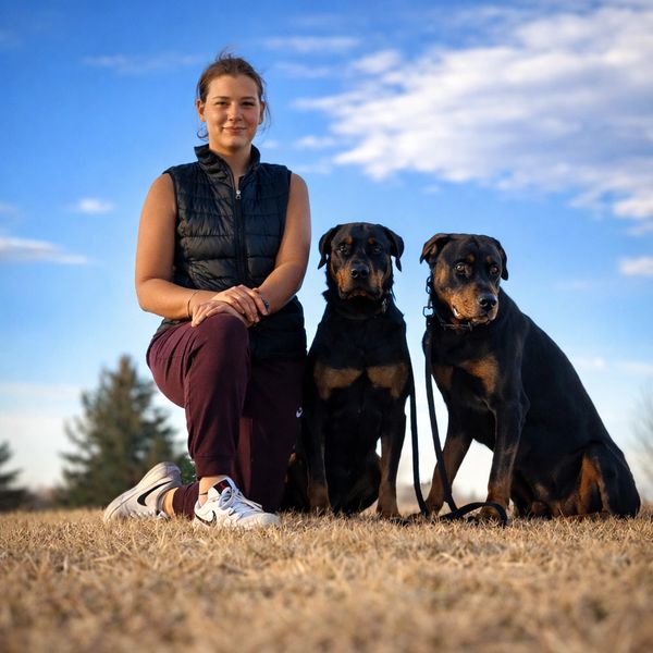 Woman kneeling on grass with two Rottweilers under a blue sky.