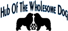 Hub Of the Wholesome dog