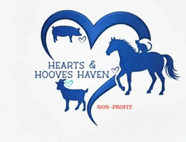 hearts & hooves haven