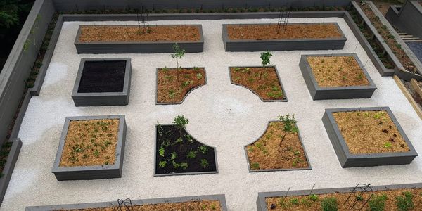 Modern raised garden beds with mulch and young plants on white gravel.