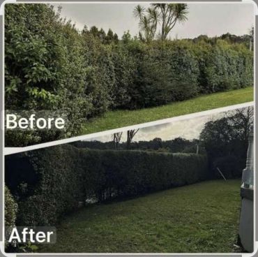 Before and after images of a neatly trimmed hedge in a garden.