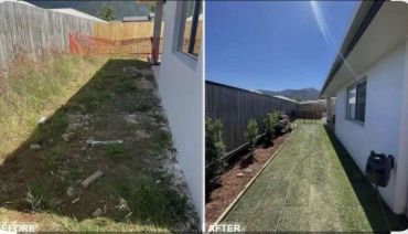 Before and after photos of a backyard transformation with cleaned and landscaped grass.
