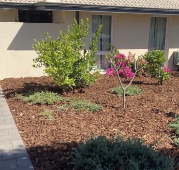 A mulched garden bed with various shrubs and a small tree in front of a house.